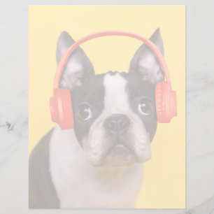 Cutest Baby Animals Boston Terrier Headphones