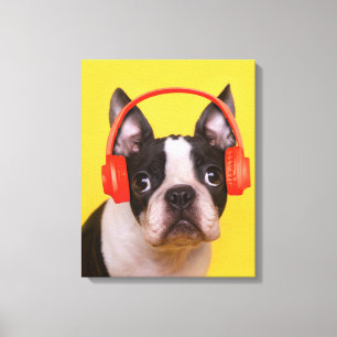 Cutest Baby Animals Boston Terrier Headphones Canvas Print