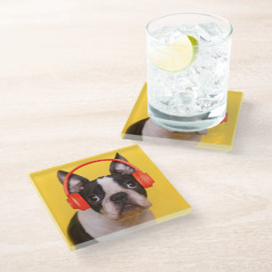 Cutest Baby Animals Boston Terrier Headphones Glass Coaster