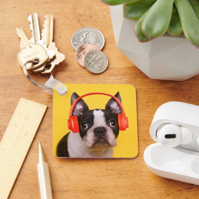Cutest Baby Animals | Boston Terrier Headphones Key Ring (Desk)