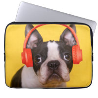 Cutest Baby Animals | Boston Terrier Headphones