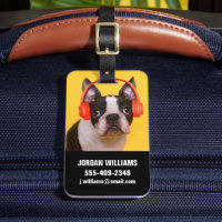 Cutest Baby Animals | Boston Terrier Headphones