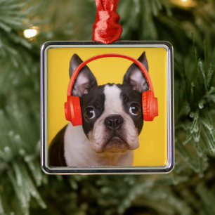Cutest Baby Animals   Boston Terrier Headphones Metal Ornament