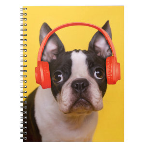 Cutest Baby Animals Boston Terrier Headphones Notebook