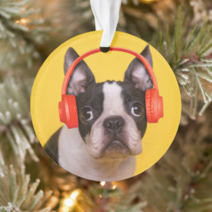 Cutest Baby Animals   Boston Terrier Headphones Ornament