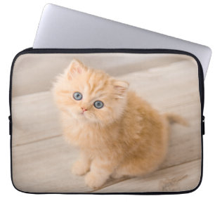 Cutest Baby Animals   British Longhair Kitten Laptop Sleeve