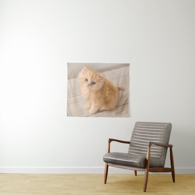 Cutest Baby Animals | British Longhair Kitten Tapestry (In Situ (Horizontal))