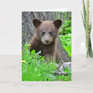 Cutest Baby Animals Brown Bear Cub Card