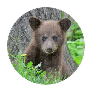 Cutest Baby Animals Brown Bear Cub Cutting Board