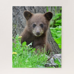 Cutest Baby Animals Brown Bear Cub Jigsaw Puzzle