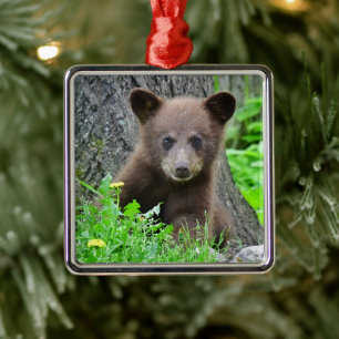 Cutest Baby Animals Brown Bear Cub Metal Ornament
