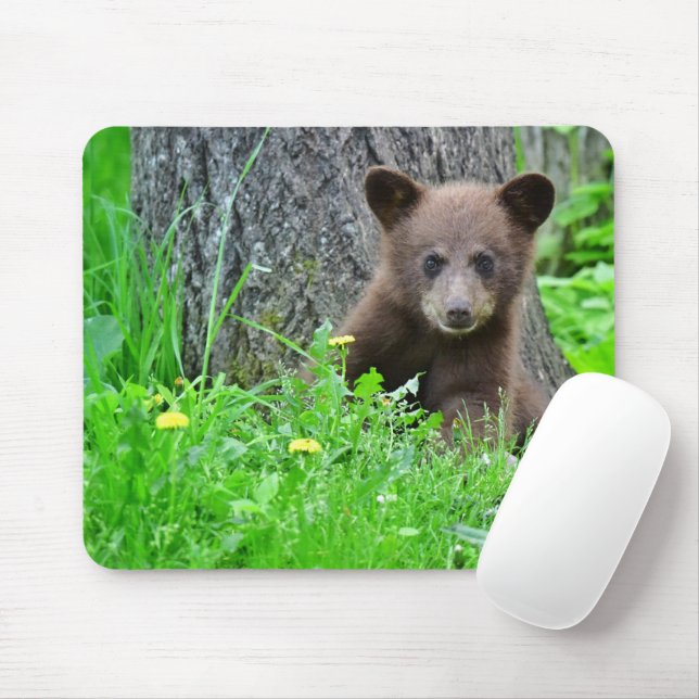 Cutest Baby Animals | Brown Bear Cub Mouse Pad (With Mouse)