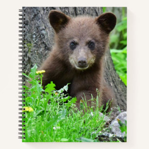 Cutest Baby Animals Brown Bear Cub Notebook