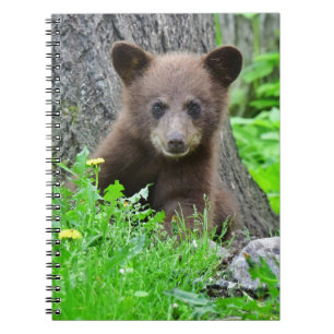 Cutest Baby Animals Brown Bear Cub Notebook