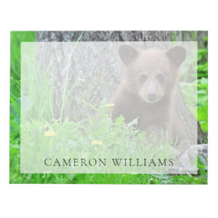 Cutest Baby Animals   Brown Bear Cub Notepad