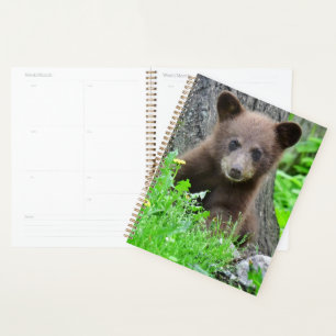 Cutest Baby Animals Brown Bear Cub Planner