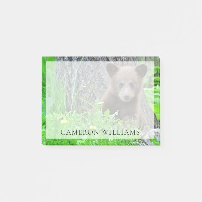 Cutest Baby Animals | Brown Bear Cub Post-it Notes (Front)
