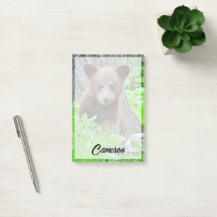 Cutest Baby Animals Brown Bear Cub Post-it Notes