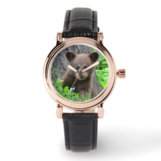 Cutest Baby Animals | Brown Bear Cub Watch (Front)