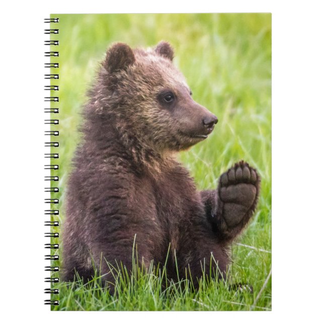 Cutest Baby Animals | Brown Bear Cub Wave Notebook (Front)