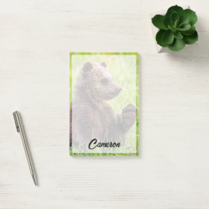 Cutest Baby Animals   Brown Bear Cub Wave Post-it Notes