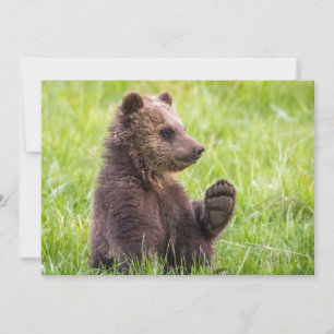Cutest Baby Animals Brown Bear Cub Wave Thank You Card
