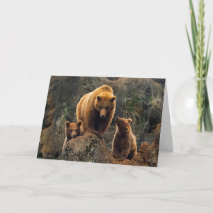 Cutest Baby Animals   Brown Bear Family Card