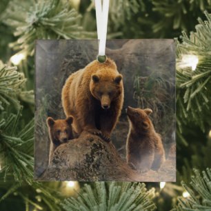 Cutest Baby Animals   Brown Bear Family Glass Tree Decoration