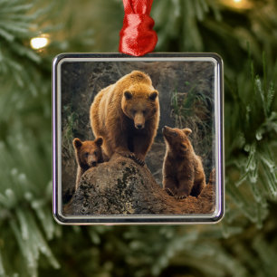 Cutest Baby Animals   Brown Bear Family Metal Ornament