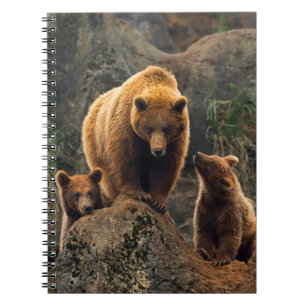 Cutest Baby Animals   Brown Bear Family Notebook