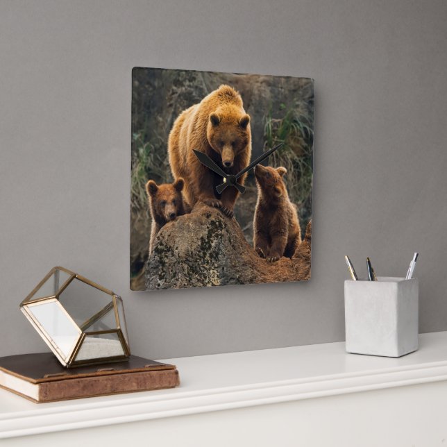 Cutest Baby Animals | Brown Bear Family Square Wall Clock (Office)