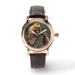 Cutest Baby Animals   Brown Bear Family Watch