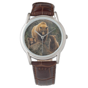 Cutest Baby Animals Brown Bear Family Watch