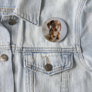 Cutest Baby Animals Brown Dachshund Puppy 6 Cm Round Badge