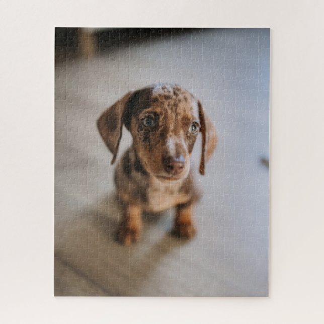 Cutest Baby Animals | Brown Dachshund Puppy Jigsaw Puzzle (Vertical)