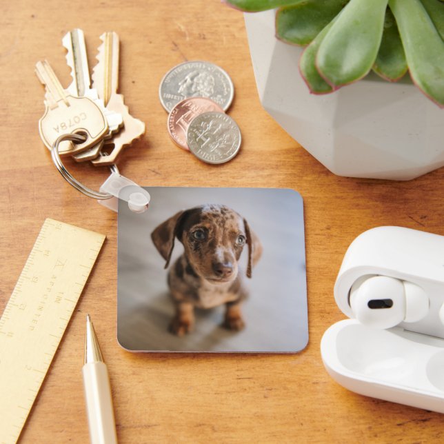 Cutest Baby Animals | Brown Dachshund Puppy Key Ring (Desk)