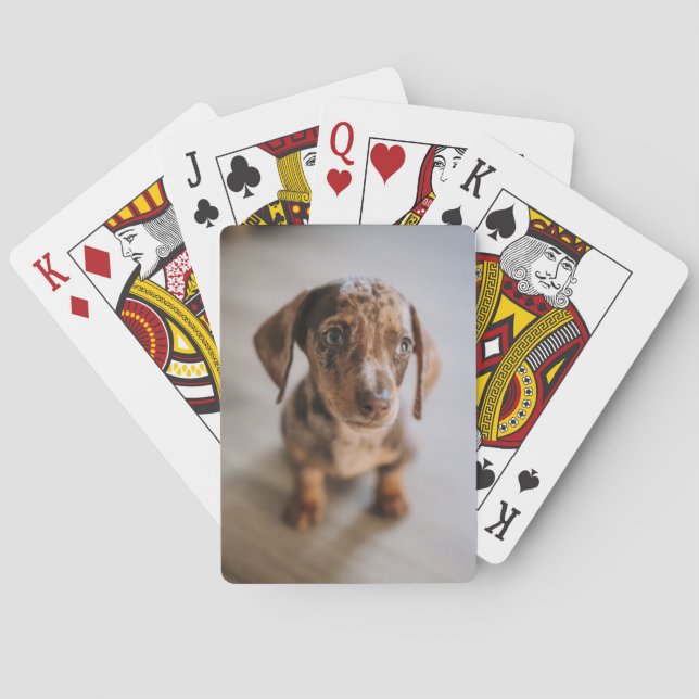 Cutest Baby Animals | Brown Dachshund Puppy Playing Cards (Back)