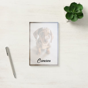 Cutest Baby Animals Brown Dachshund Puppy Post-it Notes