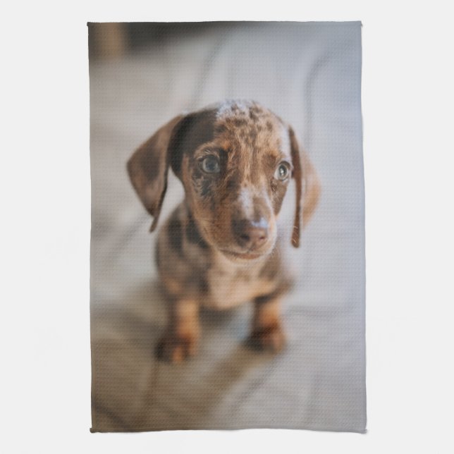Cutest Baby Animals | Brown Dachshund Puppy Tea Towel (Vertical)