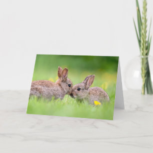 Cutest Baby Animals Bunny Kiss Card