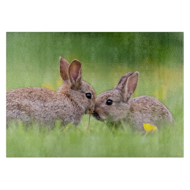 Cutest Baby Animals | Bunny Kiss Cutting Board (Front)