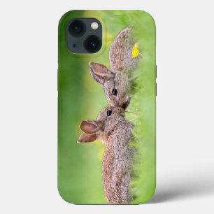 Cutest Baby Animals Bunny Kiss iPhone 13 Case