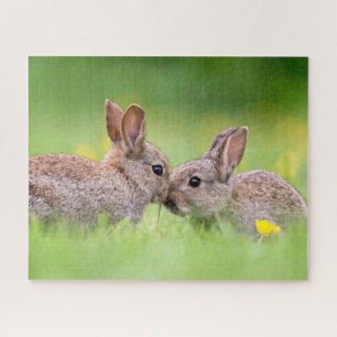 Cutest Baby Animals Bunny Kiss Jigsaw Puzzle