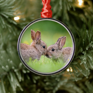 Cutest Baby Animals Bunny Kiss Metal Ornament