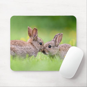 Cutest Baby Animals   Bunny Kiss Mouse Pad