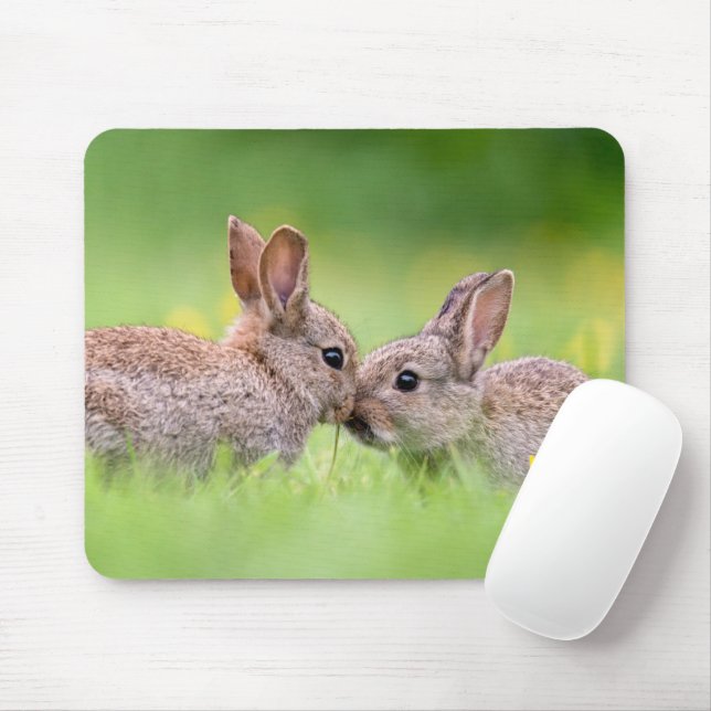 Cutest Baby Animals | Bunny Kiss Mouse Pad (With Mouse)
