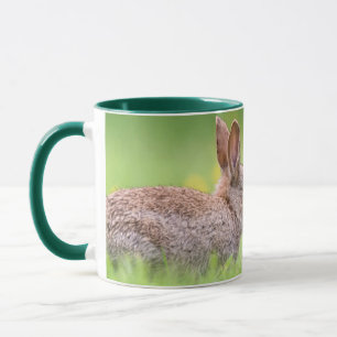 Cutest Baby Animals Bunny Kiss Mug