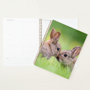 Cutest Baby Animals Bunny Kiss Planner