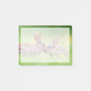 Cutest Baby Animals   Bunny Kiss Post-it Notes