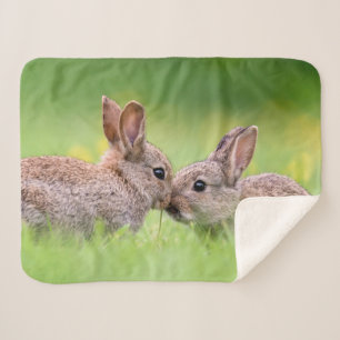 Cutest Baby Animals Bunny Kiss Sherpa Blanket